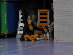 Oliebollentoernooi 2018